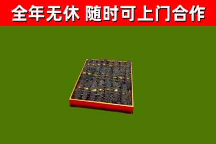 清苑回收海参